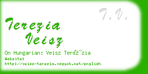 terezia veisz business card